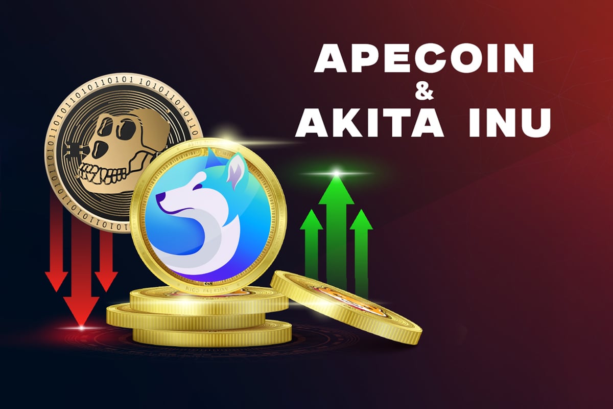 apecoin akita inu